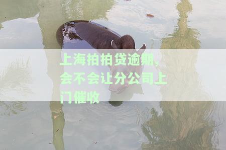 上海拍拍贷逾期,会不会让分公司上门催收呢，咨询：上海拍拍贷逾期，是否会有分公司进行上门催收？