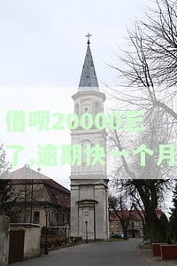 借呗20000忘了,逾期快一个月了怎么办，忘记还借呗20000，逾期将近一个月应该怎么办？