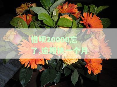 借呗20000忘记还款，逾期近一个月会产生什么后果？是否会坐牢？