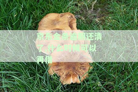 京东金条逾期后还清，能否再次借款？安全性如何？