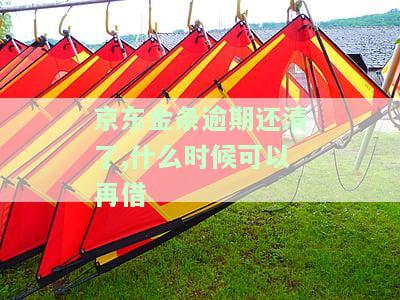 京东金条逾期还清了,什么时候可以再借-京东金条逾期还清了,什么时候可以再借出来