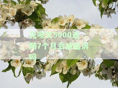 花呗欠5000逾期7个月是否会被起诉？