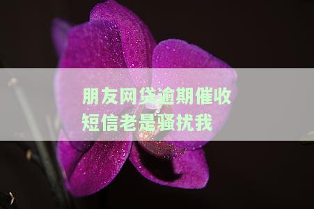 朋友网贷逾期催收短信老是骚扰我