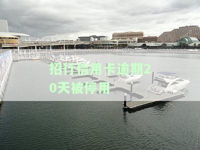 招行信用卡逾期20天被停用