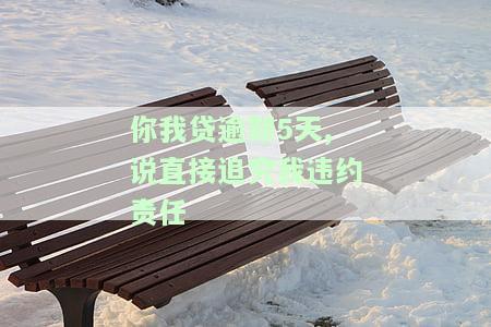你我贷逾期900天接到电话称将被起诉，如何应对？