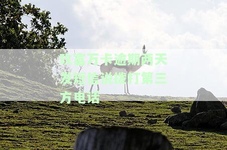 玖富万卡逾期两天会否拨打紧急联系人电话？
