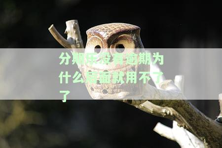 分期乐没逾期每次都按时还款怎么还用不了了，为何按时还款的分期乐无法继续使用？