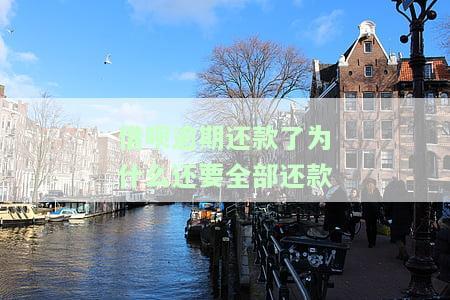 借呗逾期还款了为什么还要全部还款-借呗逾期还款了为什么还要全部还款呢