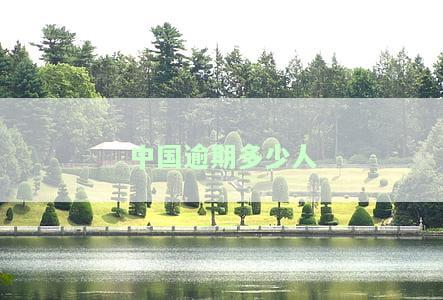 中国现在有多少人逾期？负债催收情况如何？