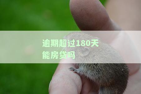 贷款逾期180天的严重后果及分类标准