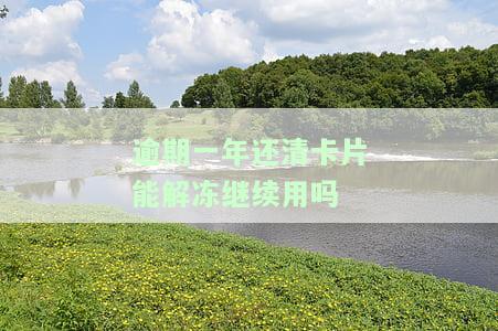 逾期一年还清卡片能解冻继续用吗，逾期一年后还款，信用卡能否解冻并恢复使用？