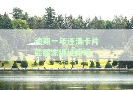 逾期一年还清卡片能解冻继续用吗-逾期一年还清卡片能解冻继续用吗安全吗