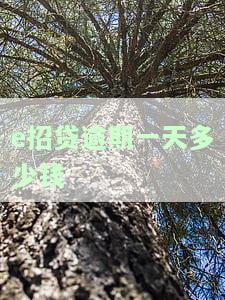 'e招贷逾期一天利息多少？'