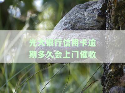 光大银行逾期多久会给紧急联系人打电话？重要提醒！
