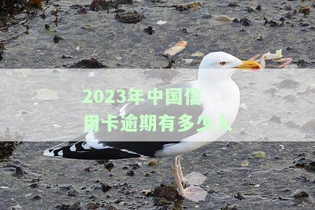 2023年中国信用卡逾期被起诉人数预测及2021年数据对比