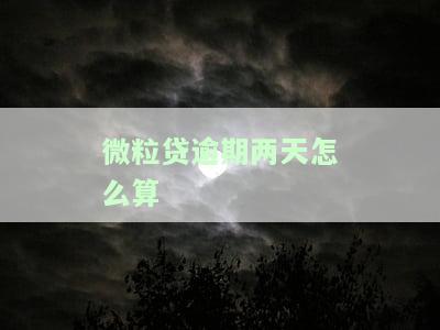 微粒贷逾期两天利息计算方法