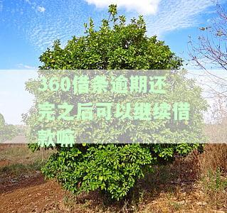 逾期后还款，问题是否解决？