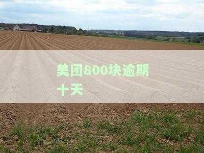 美团800块逾期十天会产生什么后果？