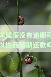 洋钱罐可以协商期还款吗，如何与洋钱罐协商期还款？
