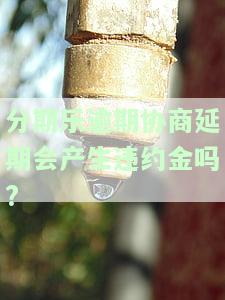 分期乐期会怎样，探究分期乐期的后果和影响