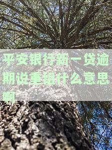 平安银行新一贷逾期说重组什么意思啊怎么办，平安银行新一贷逾期：重组计划公布，如何应对？