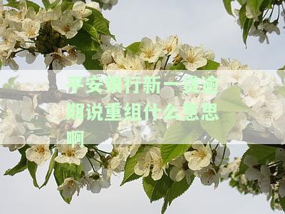平安新一贷续贷：条件、易办程度全解析