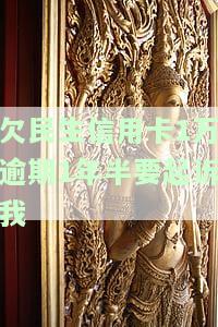 欠民生信用卡1万逾期1年半被起诉，如何应对？