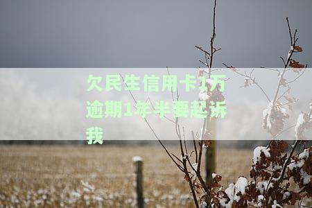 欠民生信用卡一万五六年没还怎么跟客服商量，如何与民生信用卡客服协商长期未偿还的15,000元欠款？