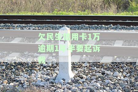 欠民生信用卡1万逾期1年半要起诉我-欠民生信用卡1万逾期1年半要起诉我怎么办