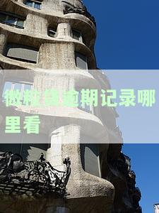 微粒贷逾期怎么查，如何查询微粒贷的逾期情况？