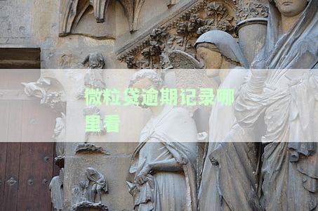 微粒贷逾期如何查看总欠款金额？