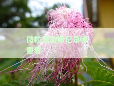 如何查看微粒贷逾期情况及记录？