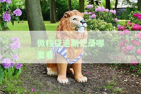微粒贷逾期记录哪里看-微粒贷逾期记录哪里看的
