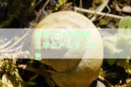 信用卡20w逾期三年会产生多少罚息金，信用卡逾期三年未还，罚息金额高达20万？！