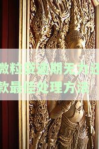 微粒贷逾期无力还款：最佳处理方法及图片解析