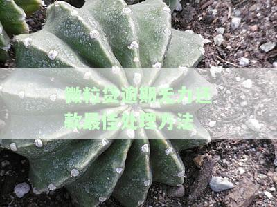 微粒贷逾期无力还款：最佳处理方法视频详解