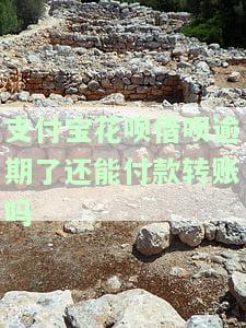 支付宝花呗借呗逾期后能否继续付款转账？解决方案是什么？