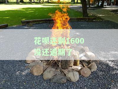花呗逾期160天后还款，能否继续使用？