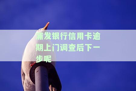 浦发银行信用卡逾期上门调查后下一步呢怎么办，浦发银行信用卡逾期上门调查后的应对策略