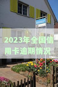 2021年信用卡逾期情况汇总与统计报告