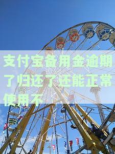 支付宝备用金逾期了归还了还能正常使用不-支付宝备用金逾期了归还了还能正常使用不