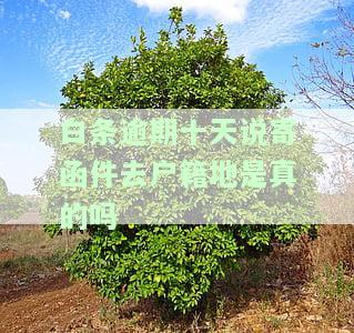 白条逾期两个月后向户地址邮寄文件是否可行？