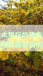 光大银行信用卡逾期与客服有关？如何处理？