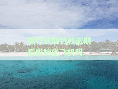 分期逾期能坐飞机吗，逾期未还款，能否继续乘坐飞机？——关于分期付款与航空旅行的法律问题