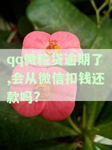 qq微粒贷逾期了,怎么解除卡，解决QQ微粒贷逾期问题：如何解除与银行卡的关联？