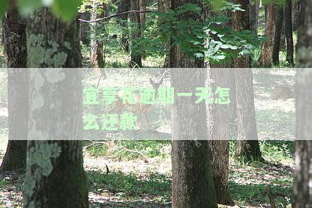 宜享花逾期一天还款金额翻倍：如何尽快还款以避免额外负担？