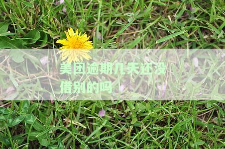 美团是不是逾期几天以后想借钱都借不出了，逾期后借款受限？美团金融告诉你可能的原因