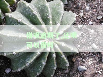 借呗逾期了,还呗可以借吗-借呗逾期还进去还可以借款吗?