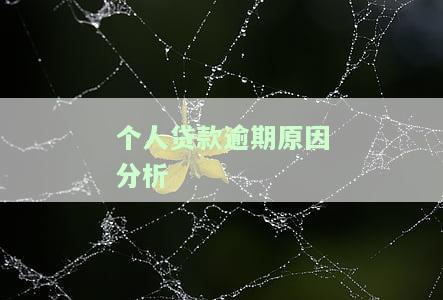 个人贷款逾期原因分析怎么写，深度解析：个人贷款逾期的常见原因及应对策略