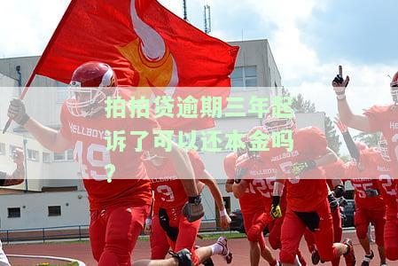 拍拍贷逾期三年起诉了可以还本金吗安全吗，拍拍贷逾期三年被起诉，能否只还本金？还款安全性如何？